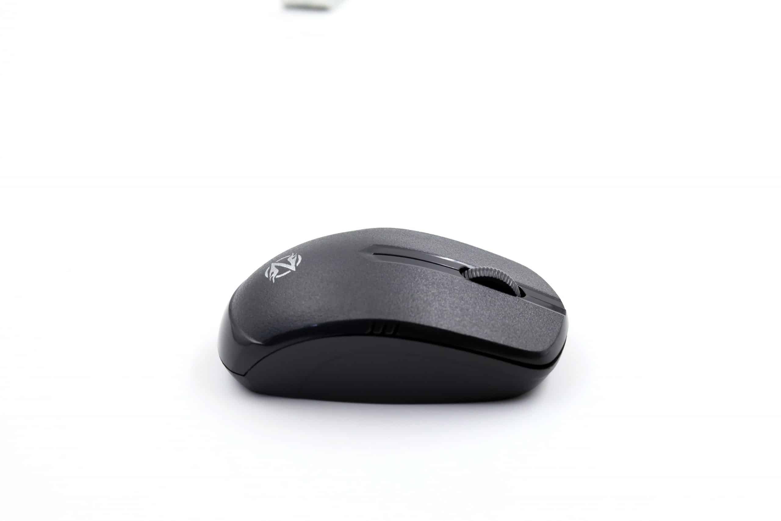 zoanwee wl24 - Image 3